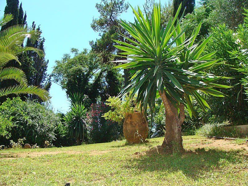 Alexandros&gerekos Hotel