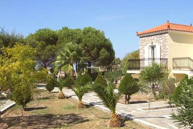 Eleftheria's Apartment