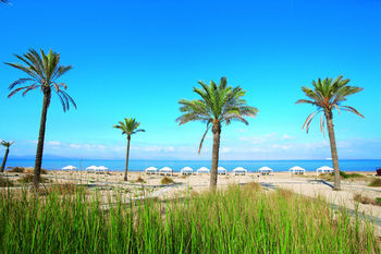 Hotel Grecotel Luxme Palms At Riviera Olympia & Aqua Park 4*