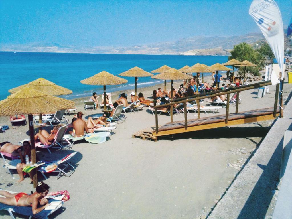 Nereids