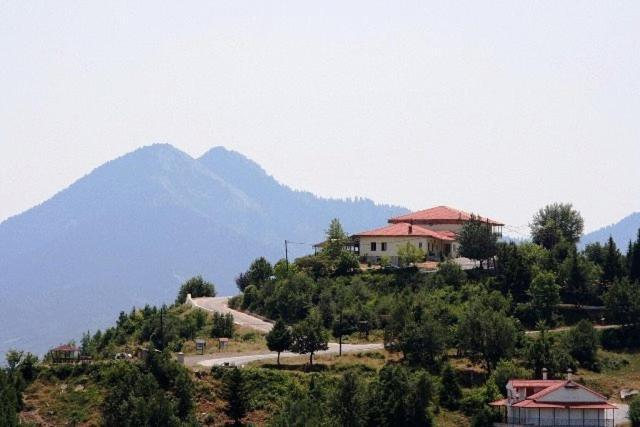 Agnanti