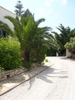 Vrettos Beachfront Apartment *
