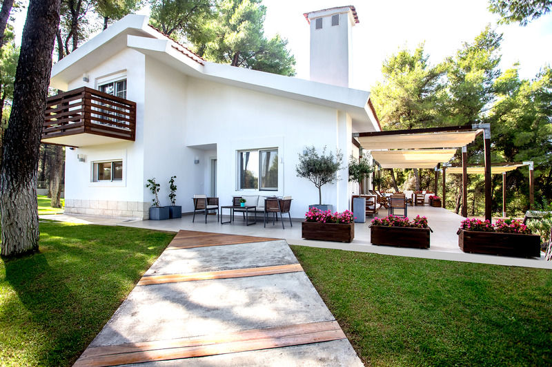 The White At Sani *
