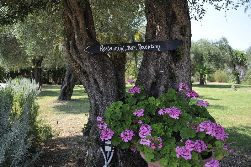 Aparthotel Panorama Hideaway Dassia (Corfu)