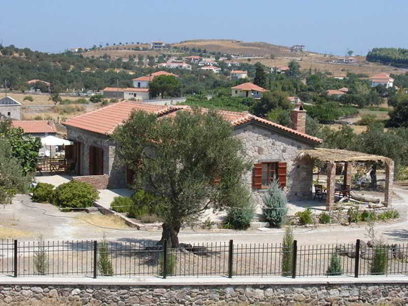 Aloni Hotel 3*