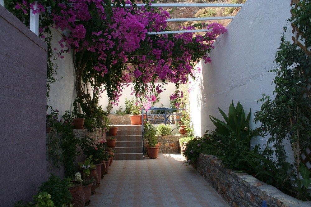 Apartment Michalis Tilos