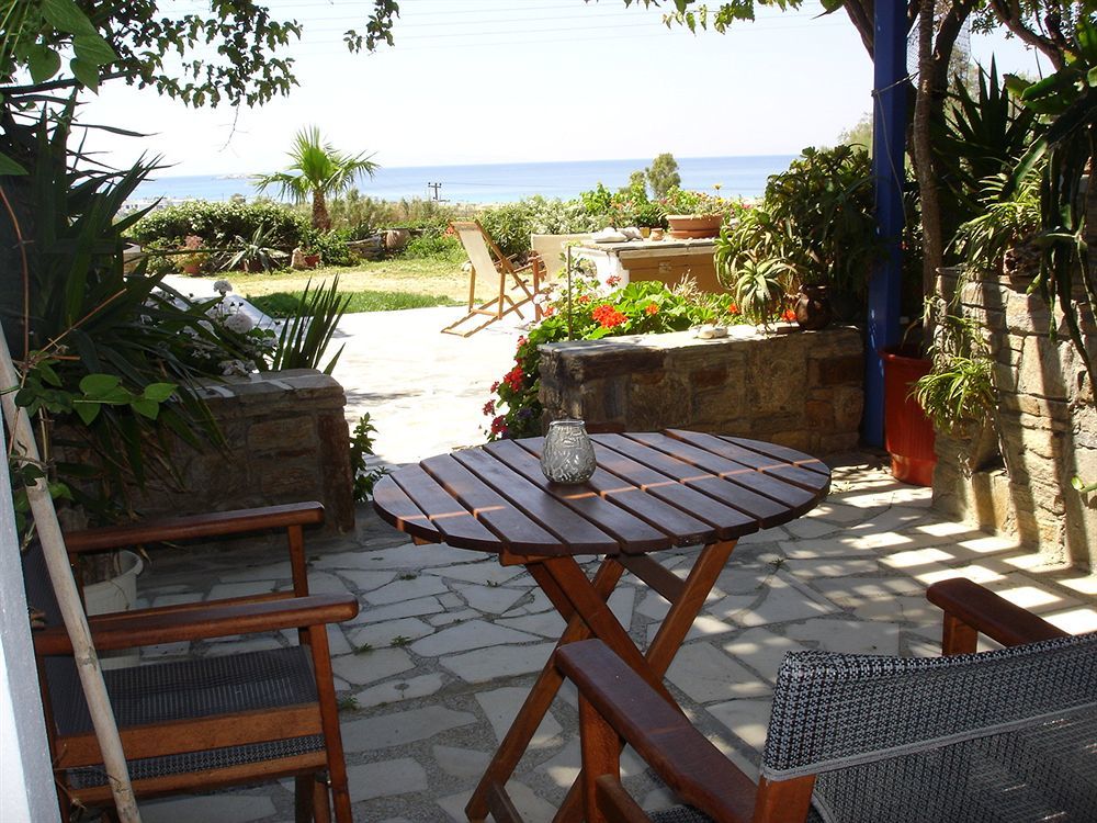 Dina Naxos