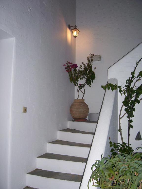 Aparthotel Despina's Mare Naousa (Paros)