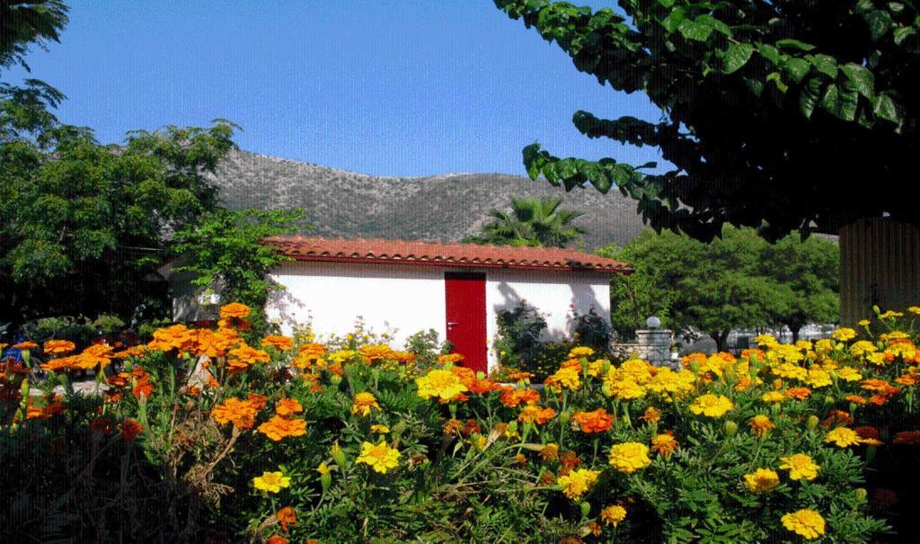 The Garden's