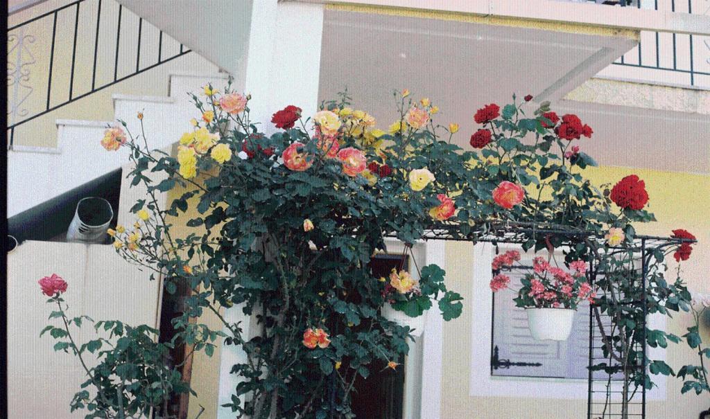 Guest house The Garden's