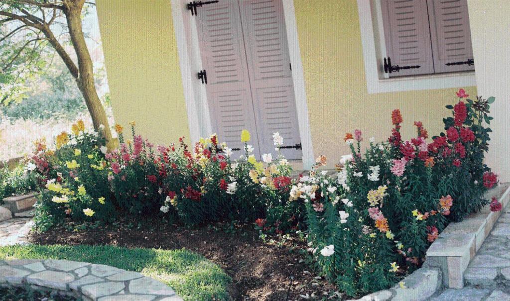 The Garden's Guest house Vlikhon
