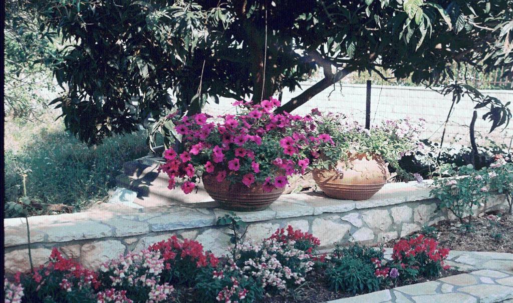 The Garden's Vlikhon