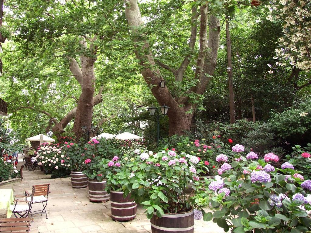 Guest house The Lotus Tree Archontiko & Activity