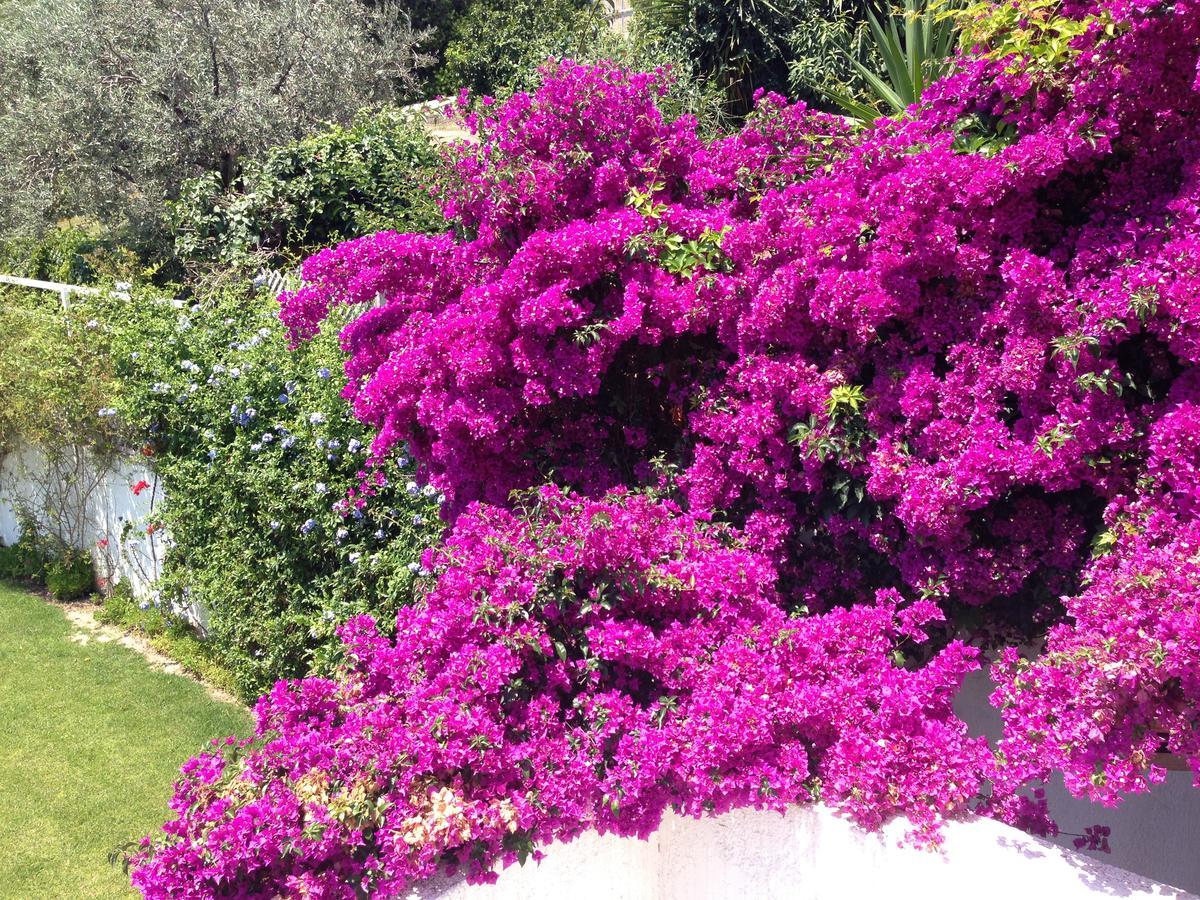 Holiday home Beautiful Pelion Sea House *