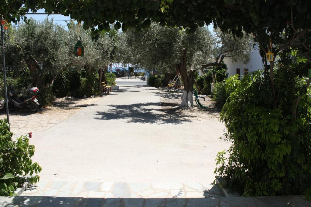 Pelagia * Marathokampos