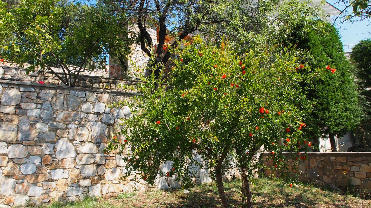 Paparouna Villa Patitiri (Alonnisos)