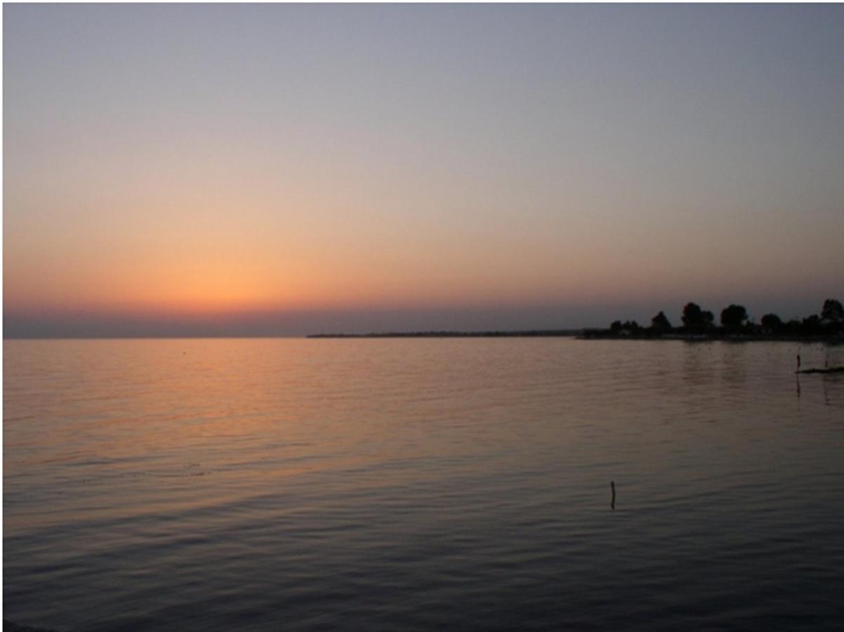 Vacation ηouse In Of Halkidiki, Greece