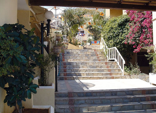 Sun Club Olympia Apartment Hersonissos (Crete)