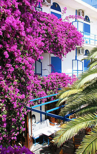 Hippocampus Hotel 2*