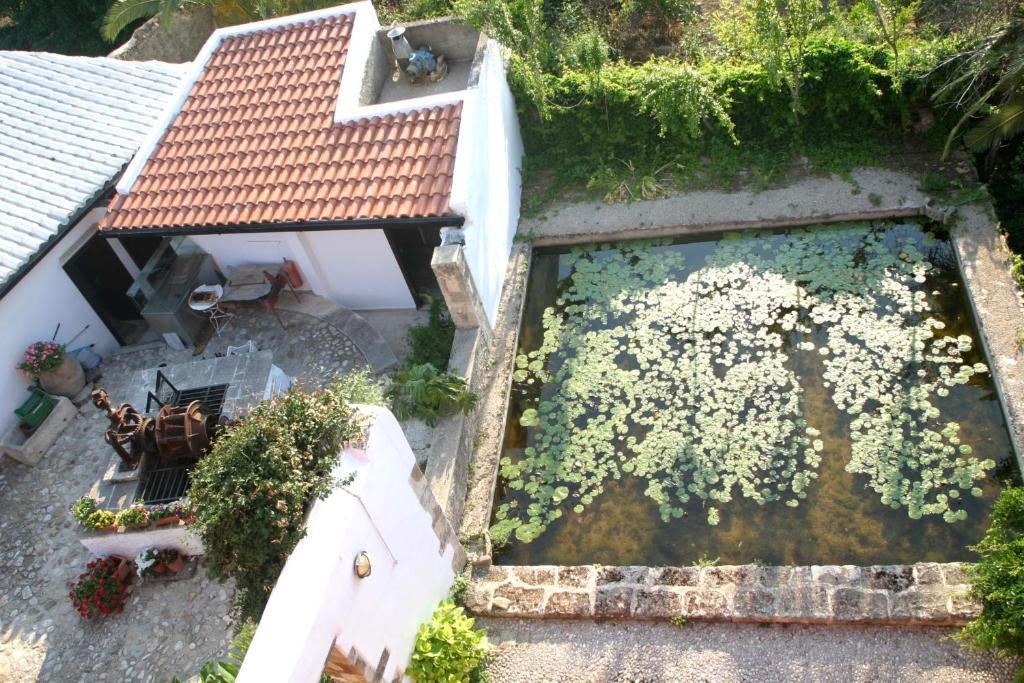 Hotel Oasis Chania (Crete)