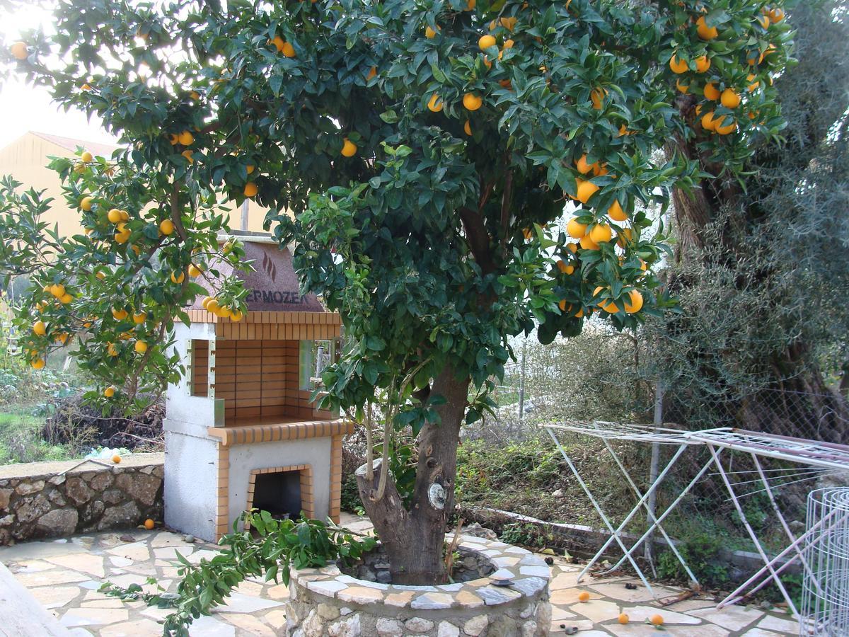 Apartment Galini *