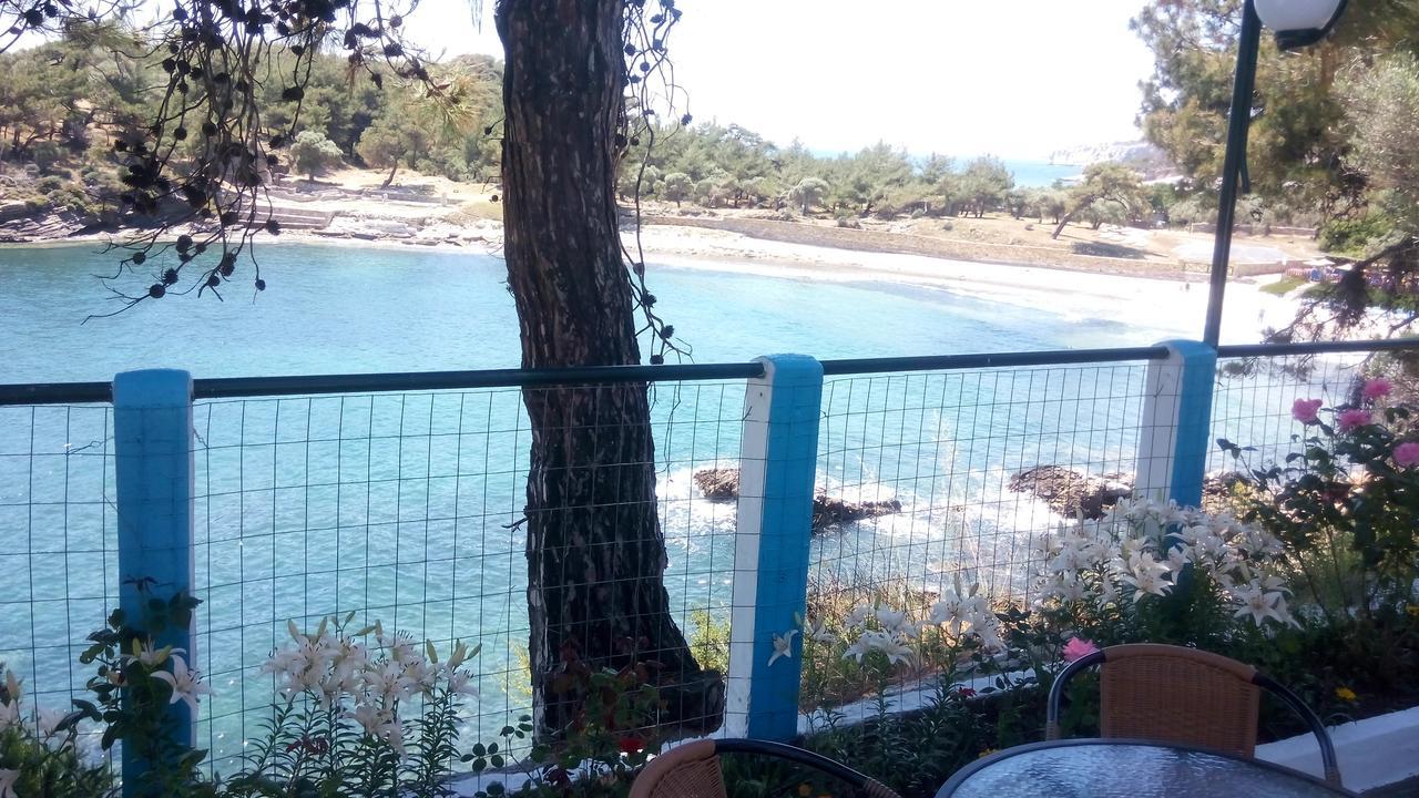 Gorgona