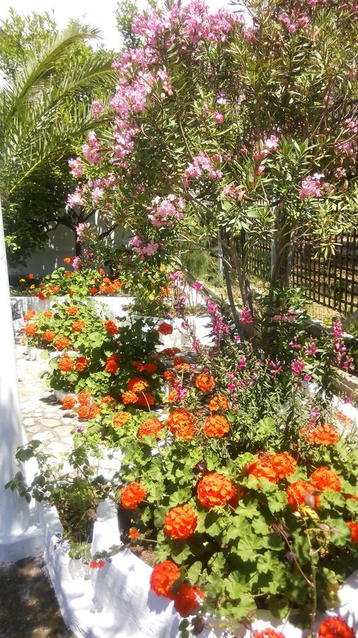 Guest house Gorgona *