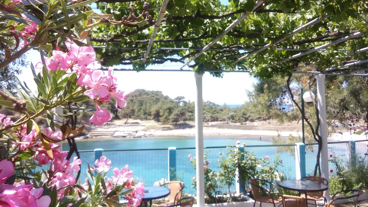 Guest house Gorgona Aliki (Thasos)