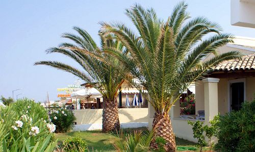 Front Salvanos Aparthotel