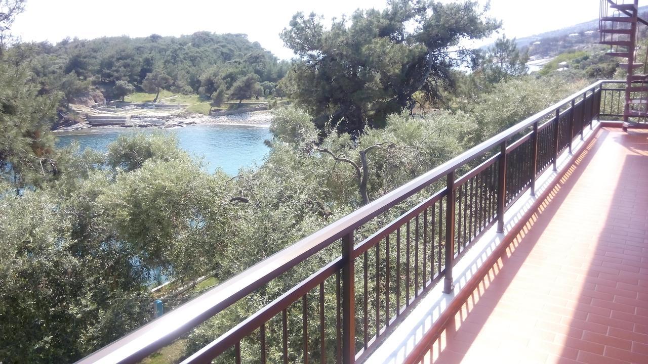 Gorgona