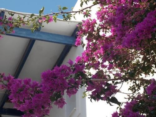 Apartment Apostolis *