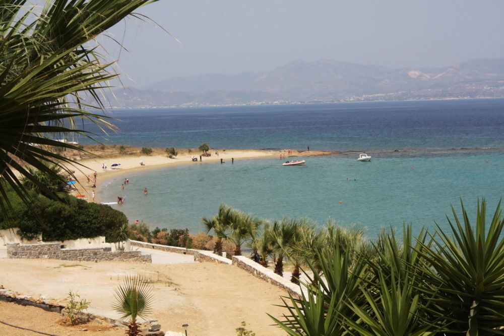 Paros Blue Dolphin
