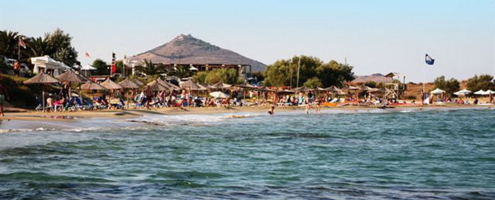 Paros Blue Dolphin Chrisi Akti (Paros)