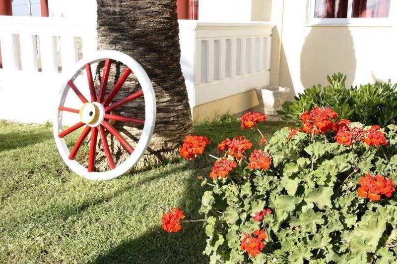 Palladion Apartment Georgioupoli