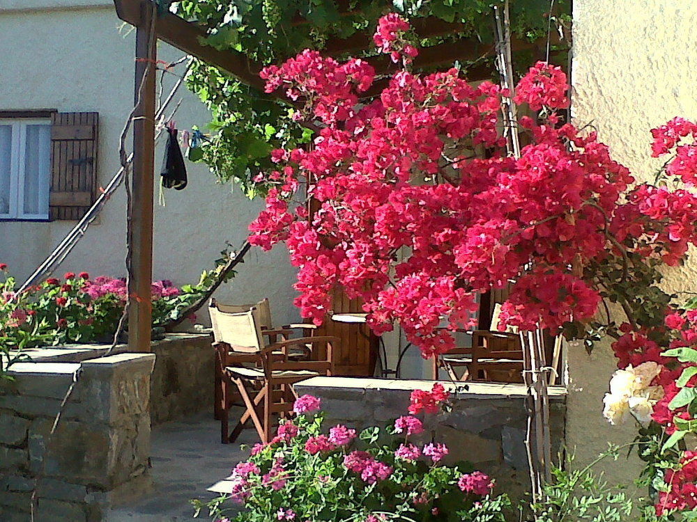 Porto Heli Apartment Palekastro