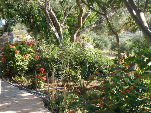 Porto Heli Apartment *