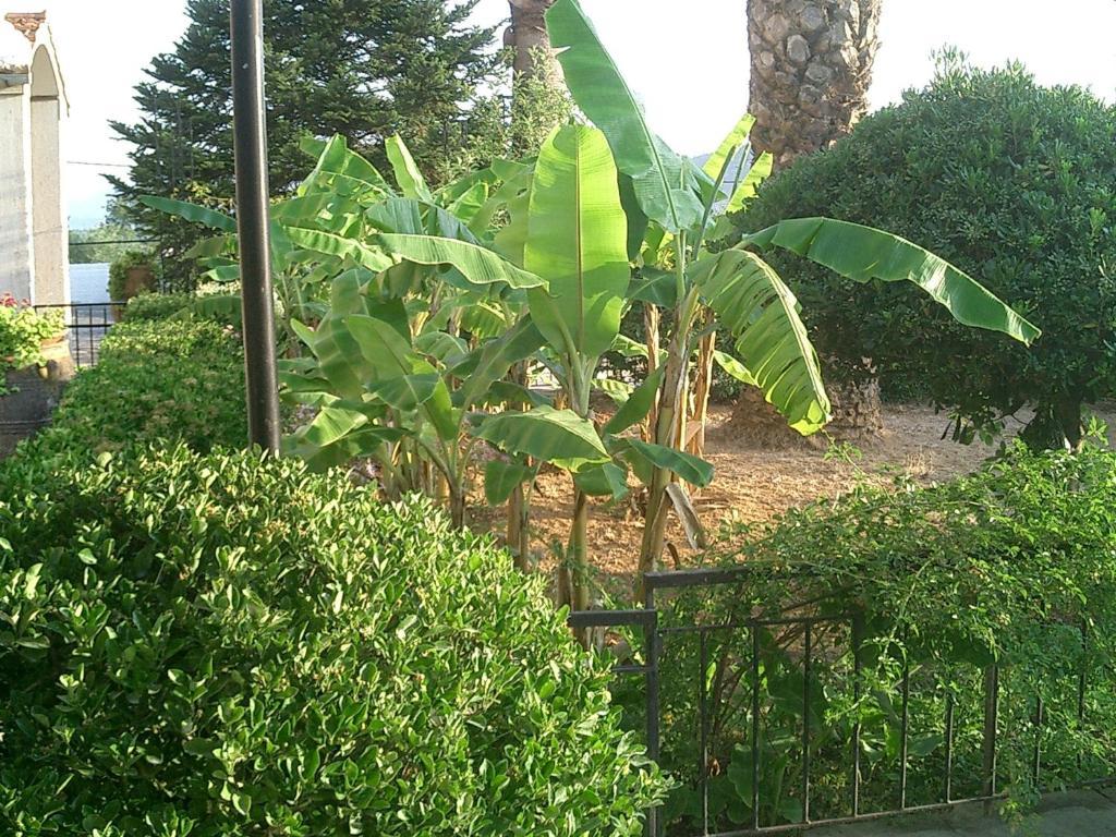 Hotel Jovana 2*