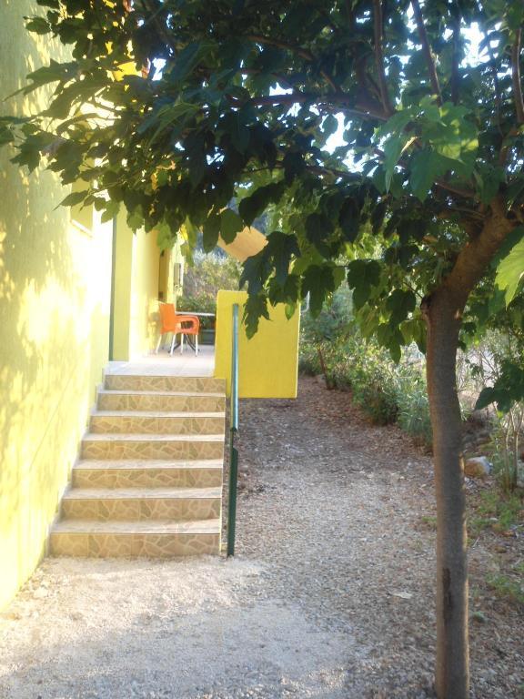 Countryside Studios Apartment