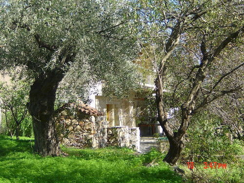 Apartment Lithea
