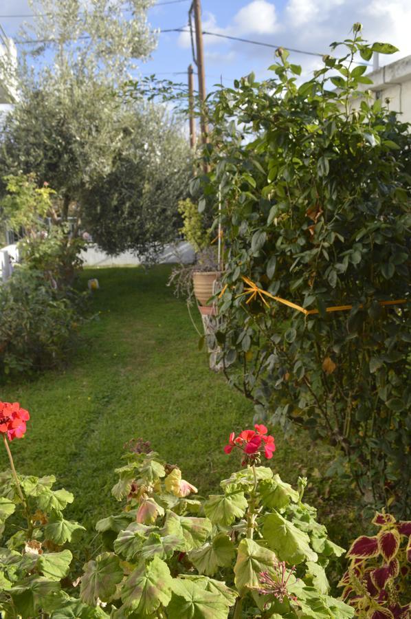 Apartment Zahner Pitsidia