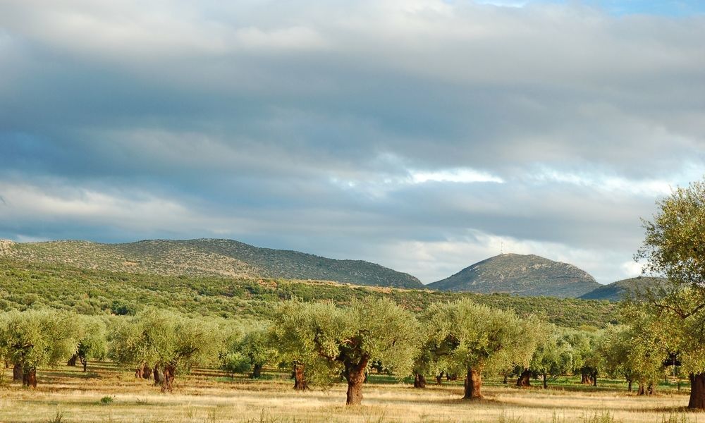 Eumelia Organic Agrotourism Farm & Farm stay *