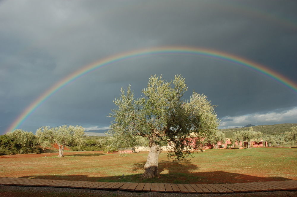 Farm stay Eumelia Organic Agrotourism Farm & *