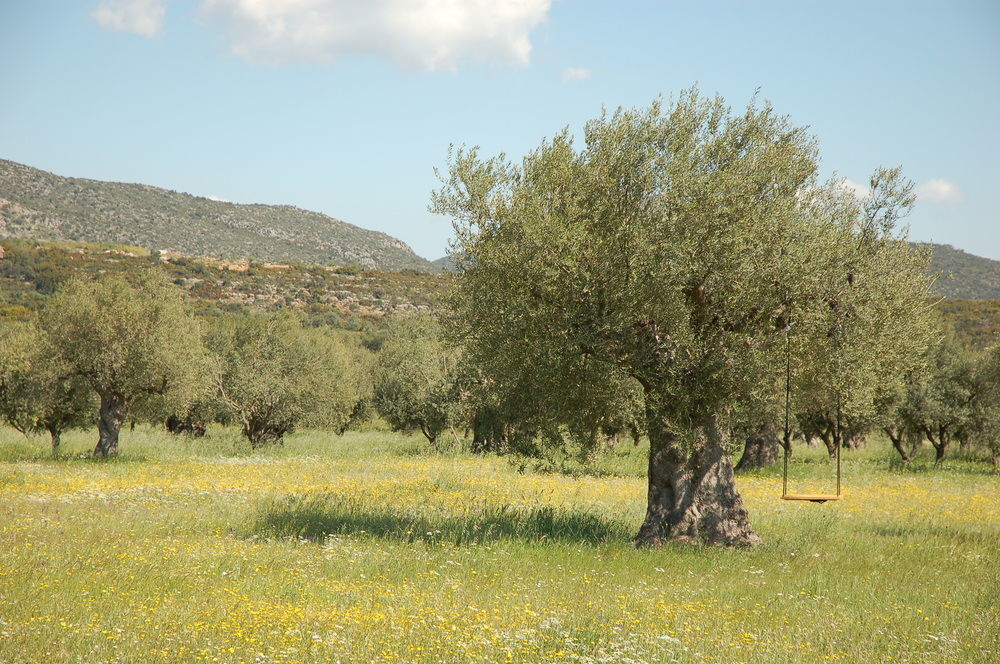 Eumelia Organic Agrotourism Farm & Farm stay Sparta