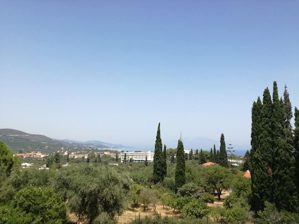 ζante Dolphin Alykes (Zakynthos)