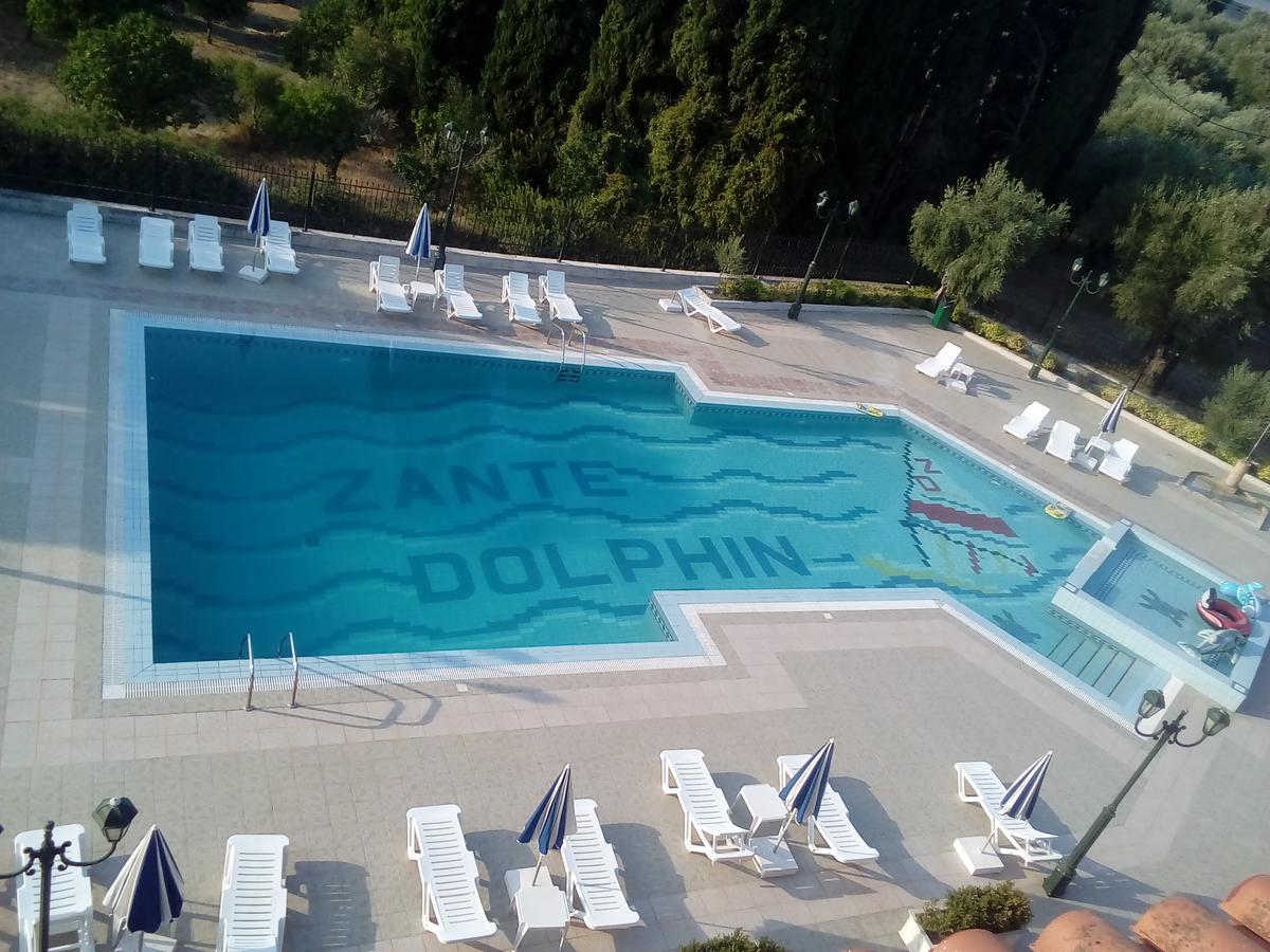 ζante Dolphin