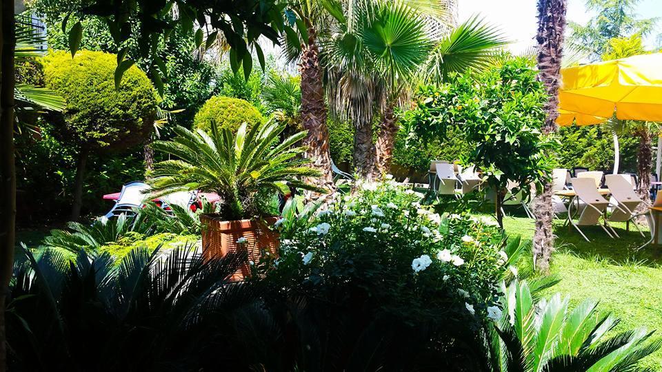 Hotel Niko Paradise