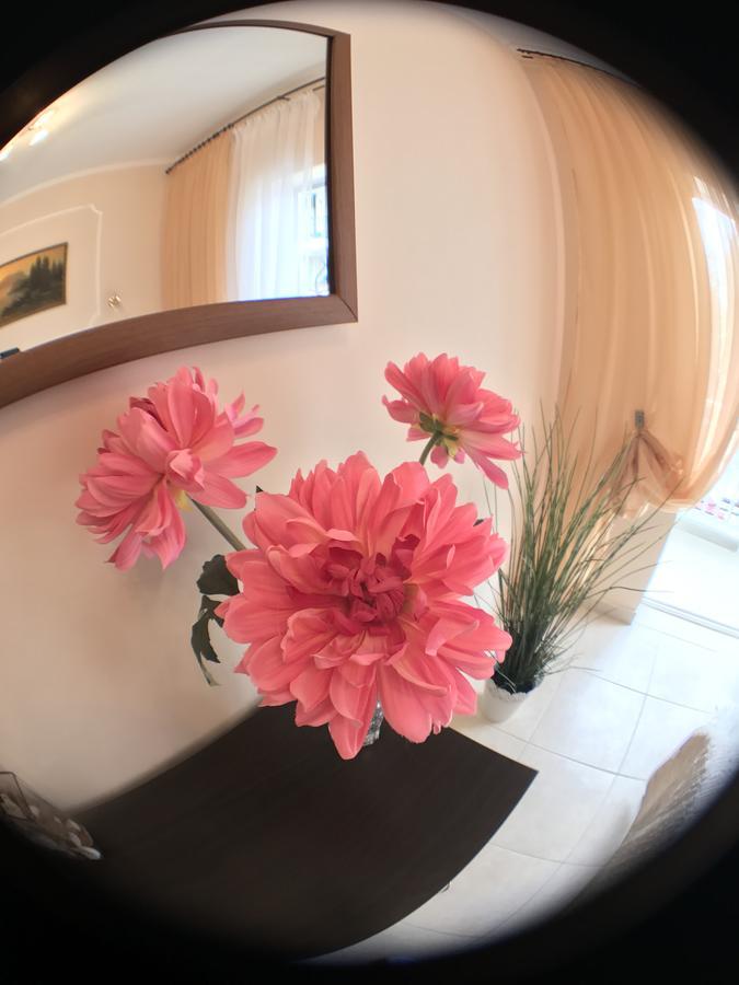 Apartment Sunny Elena Polychrono
