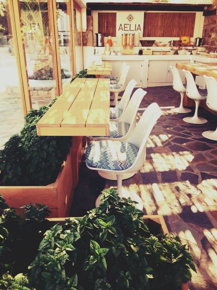 Aelia Mykonos