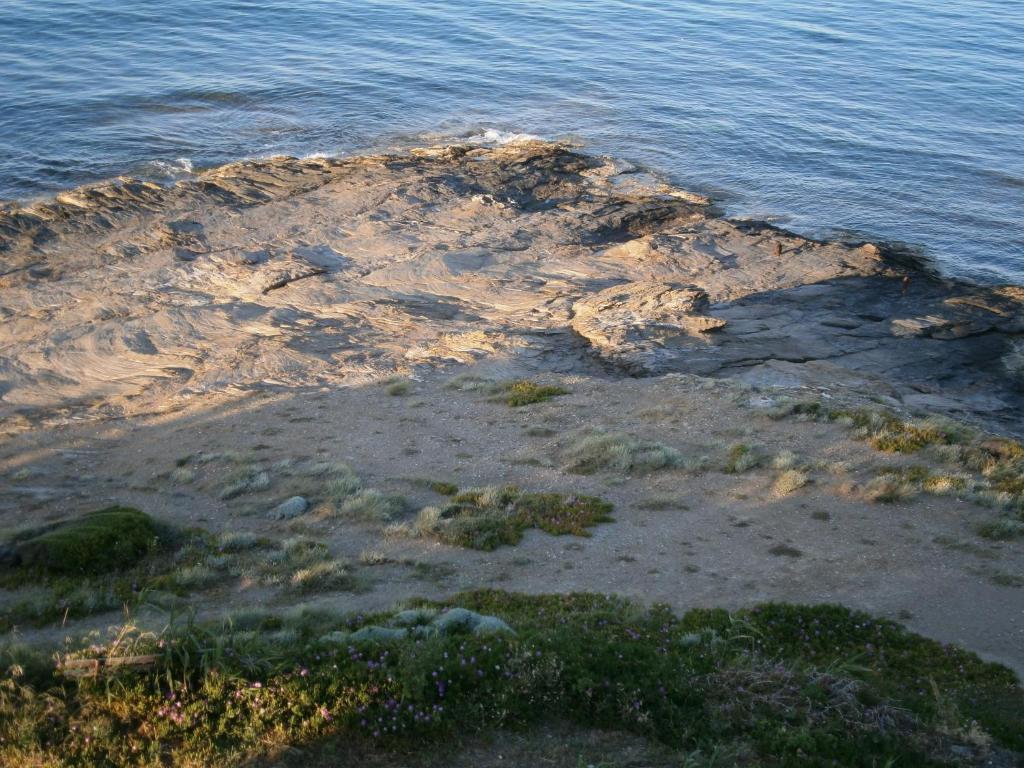 Daskalio