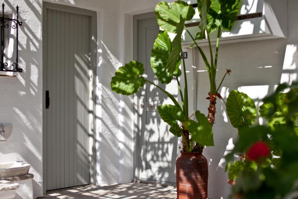 Paros Apartments *